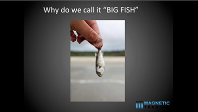 Why do we call it the Big Fish